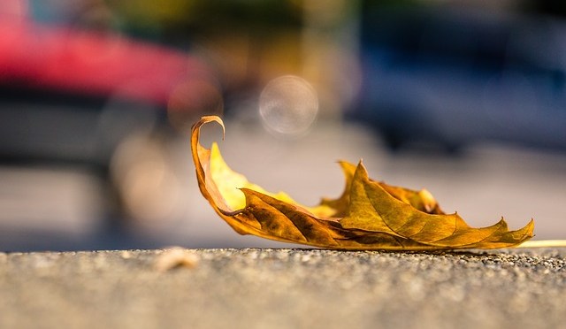 Frail Not Hail Nation