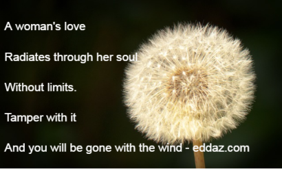 Gone with the wind - eddaz