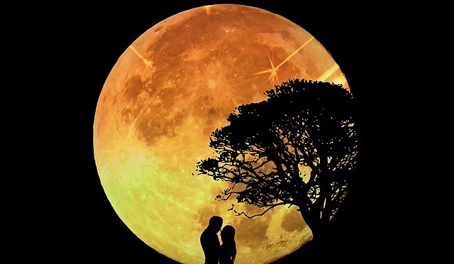 moonlight romance