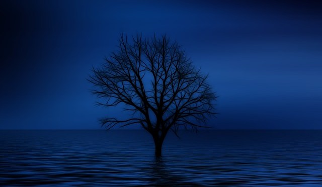 Territory Of Loneliness