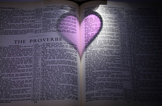 Love-proverb