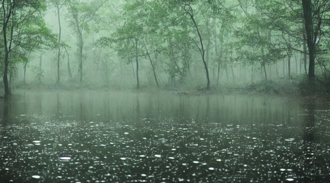 The Rain’s Lullaby